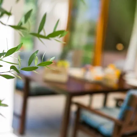 Pool Premium * Vrsar