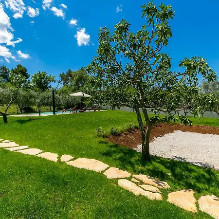 Pool Premium Apartment